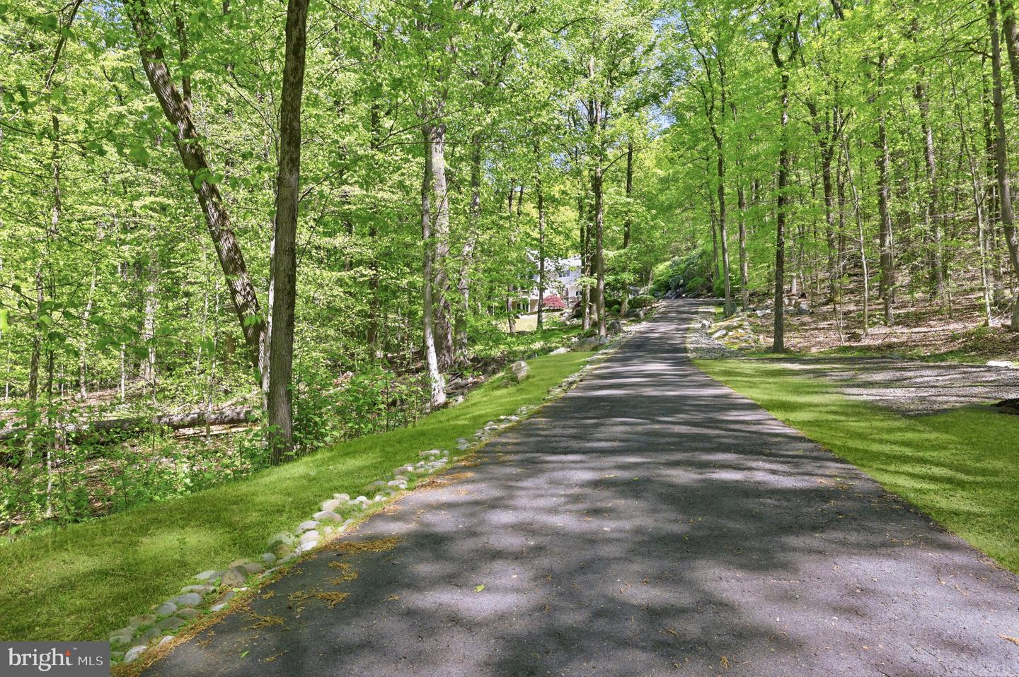 4757 Upper Mountain Rd Property Photo 62