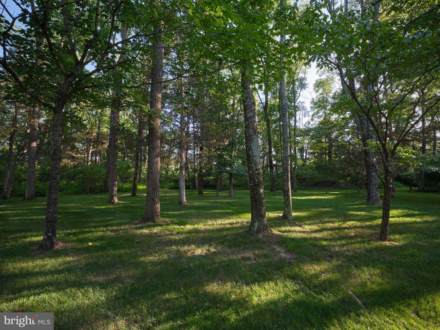4029 Devonshire Dr Property Photo 50