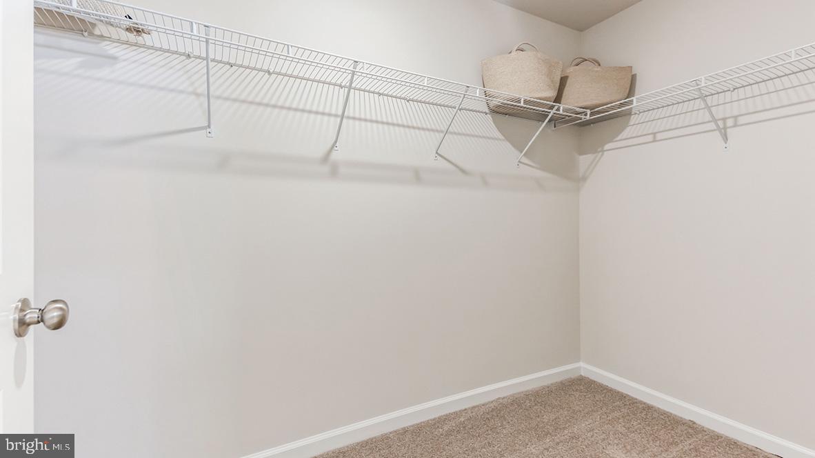 531 Trolley Lane Property Photo 19