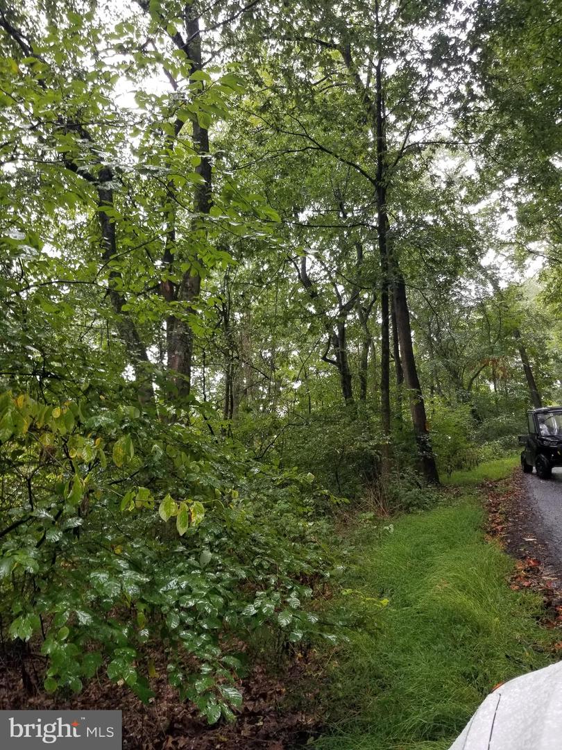 LOT 094 FIRELINE RD