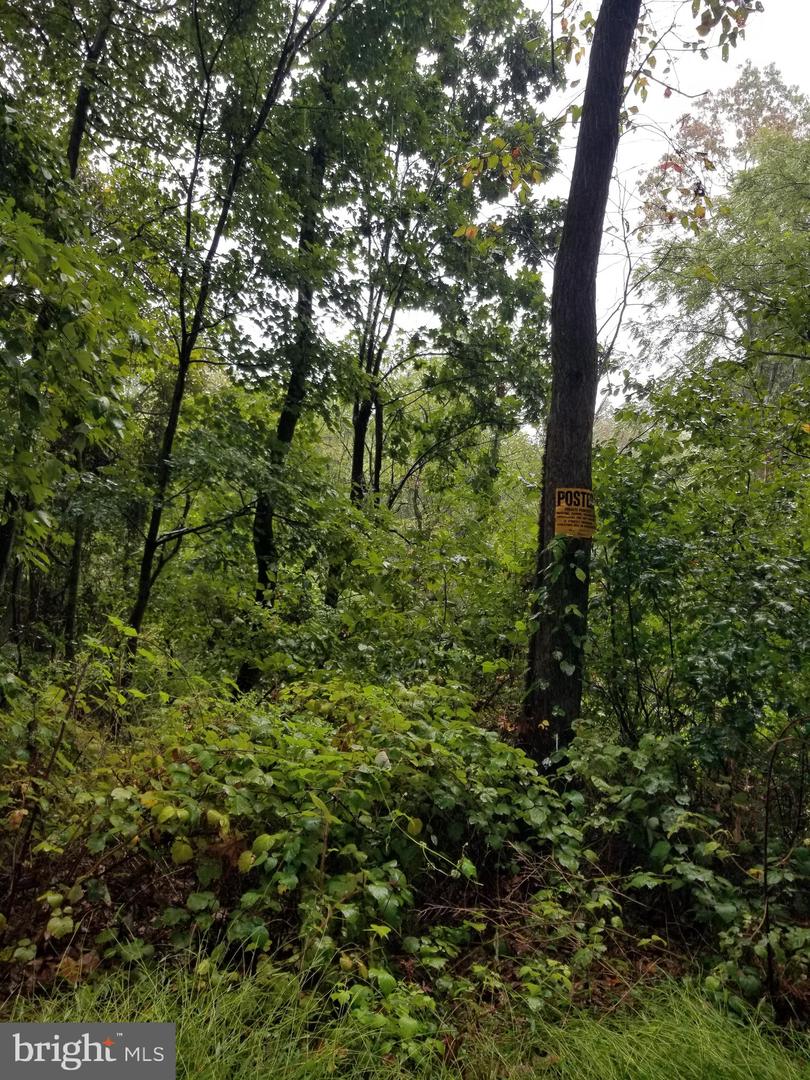 Lot 094 Fireline Rd Property Photo 2