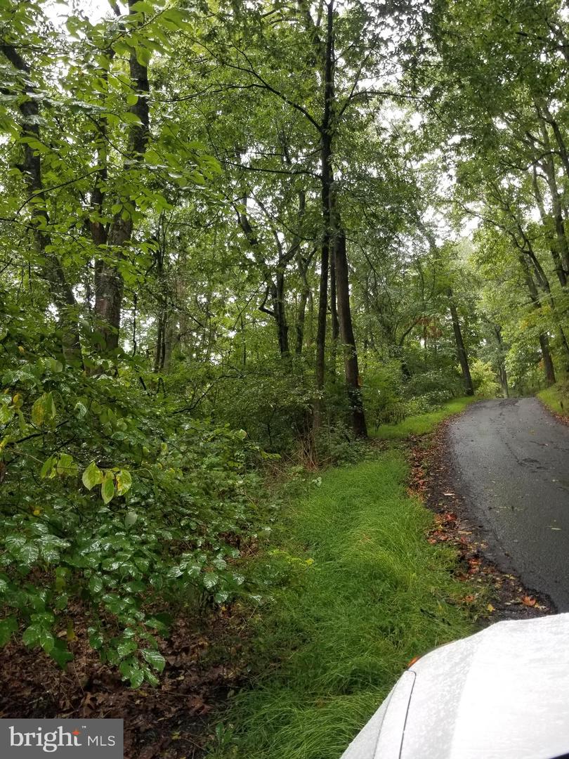 Lot 094 Fireline Rd Property Photo 4