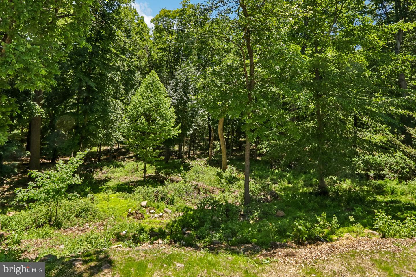 444 Rocksville Rd Property Photo 71