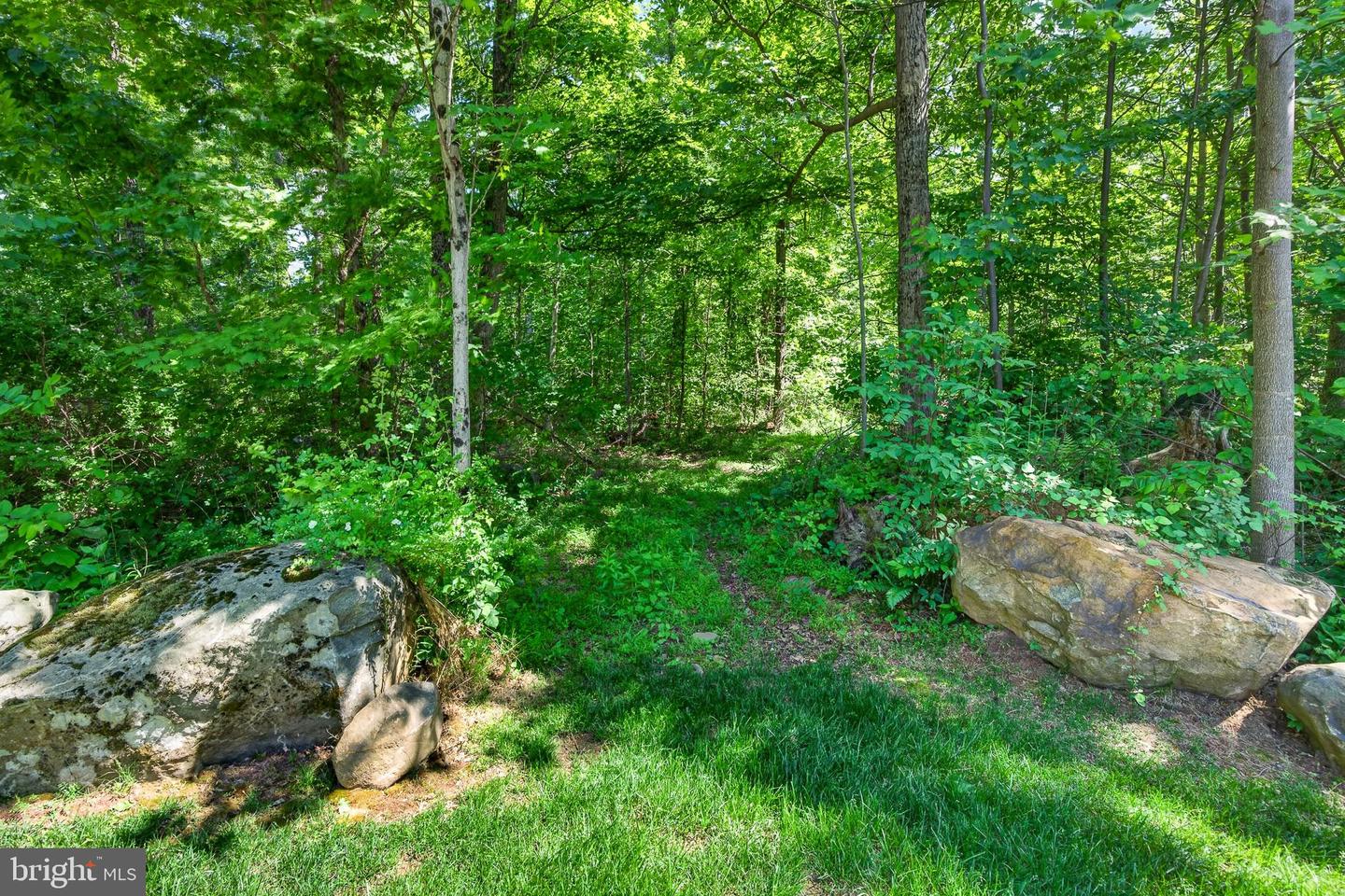 675 Rock Hill Rd Property Photo 69