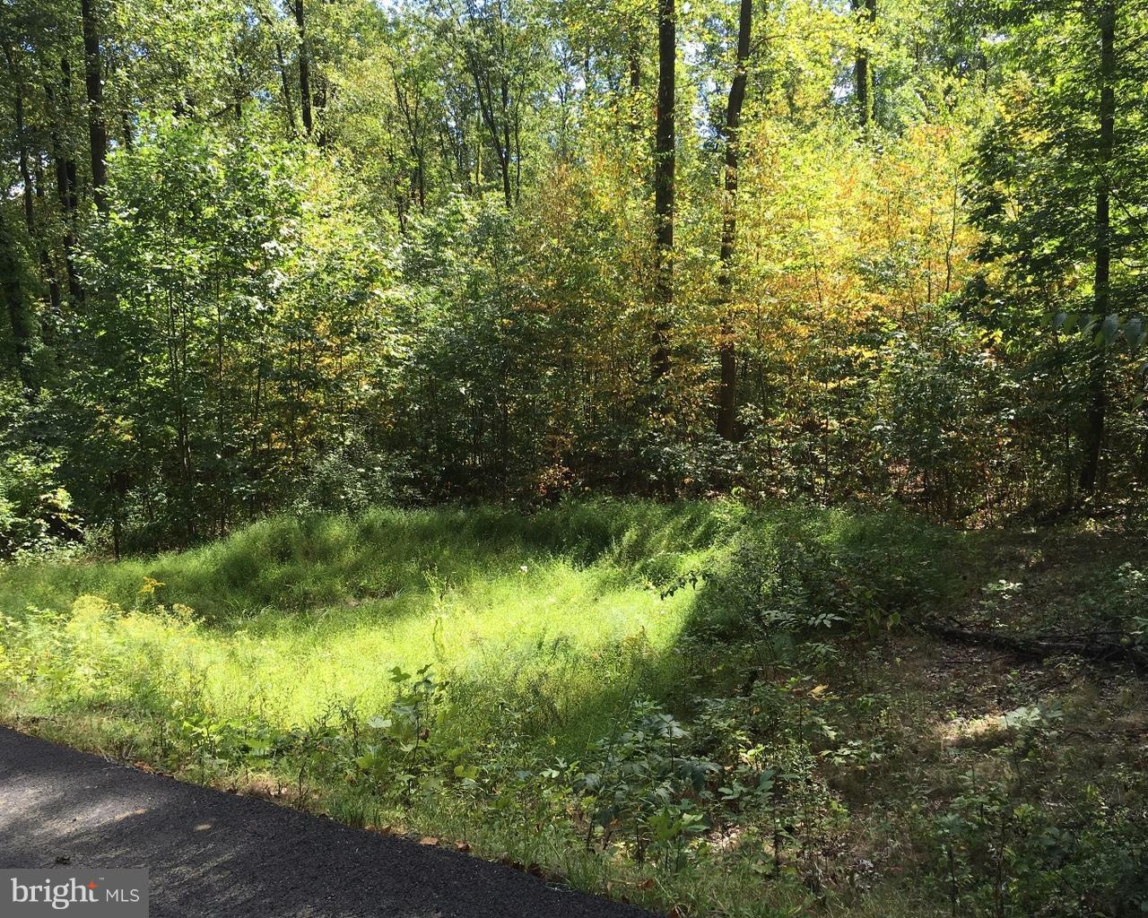 2224-a Quarry Rd Property Photo 6