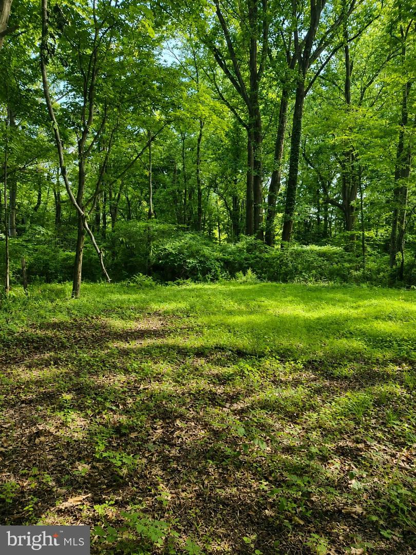 1475 Langhorne Yardley Rd Property Photo 18