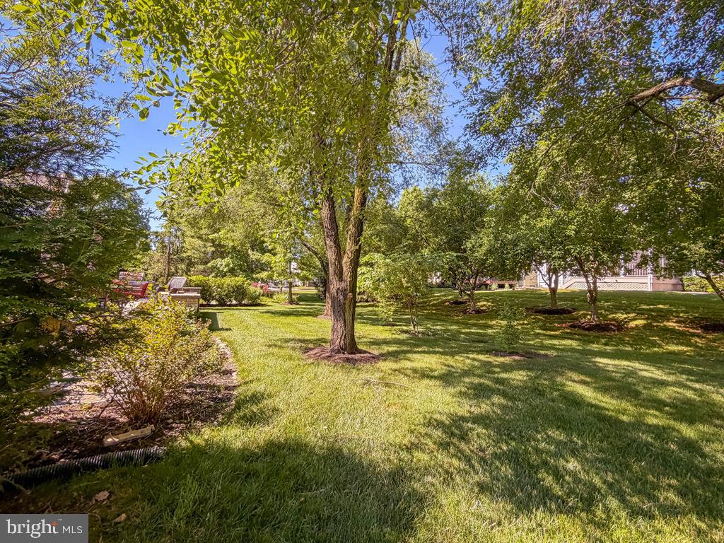15 Mcconkey Dr Property Photo 79