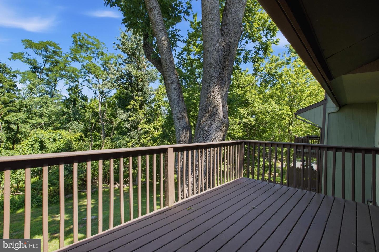 27-b Darien #27b Property Photo 22