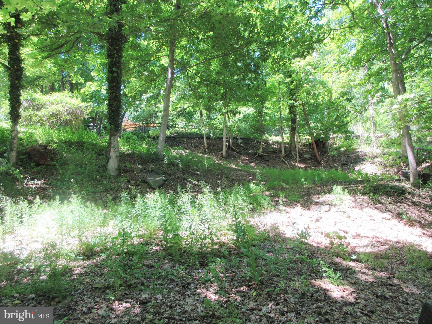 4830 River Property Photo 30