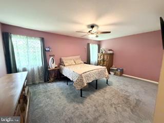 4936 Oxford Ct Property Photo 12
