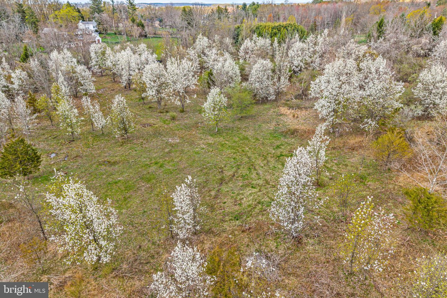 4441 Fell Rd Property Photo 2