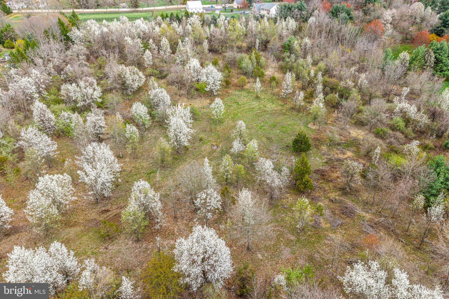 4441 Fell Rd Property Photo 6