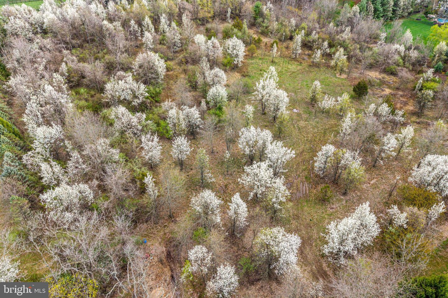 4441 Fell Rd Property Photo 7