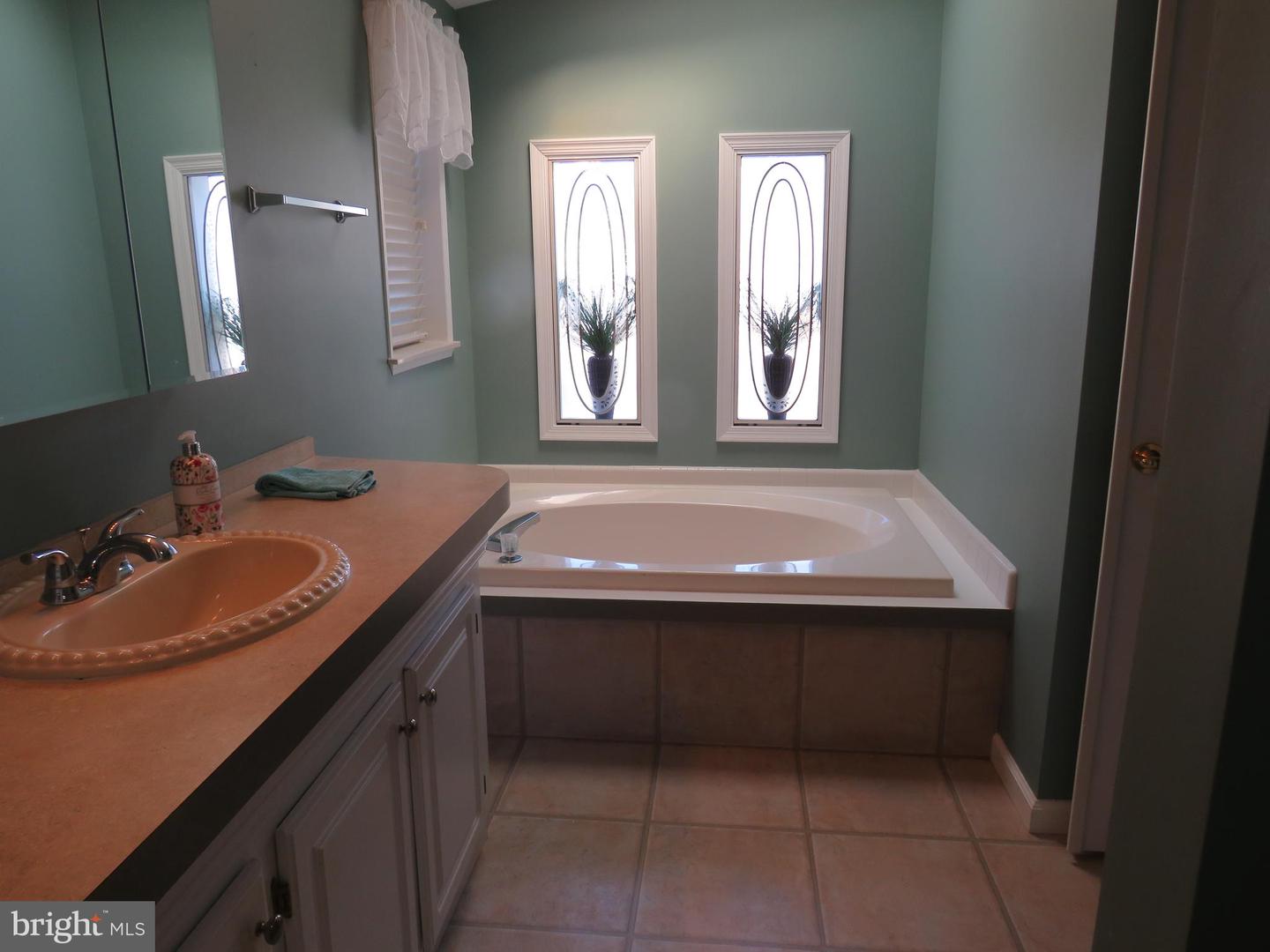 638 Spicebush Ct Property Photo 40