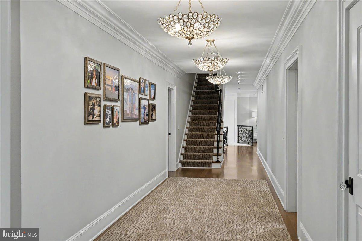 6 Tines Field Path Property Photo 98