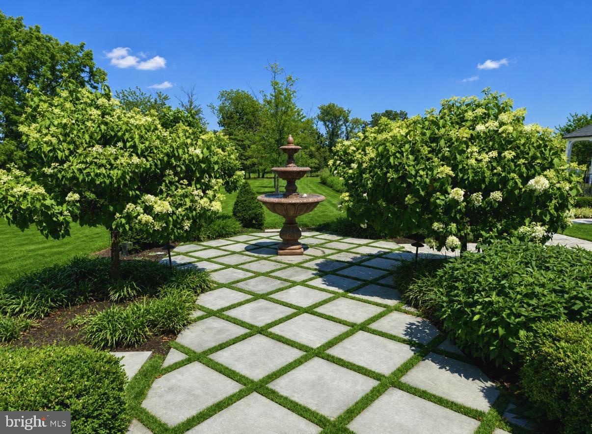 6 Tines Field Path Property Photo 108