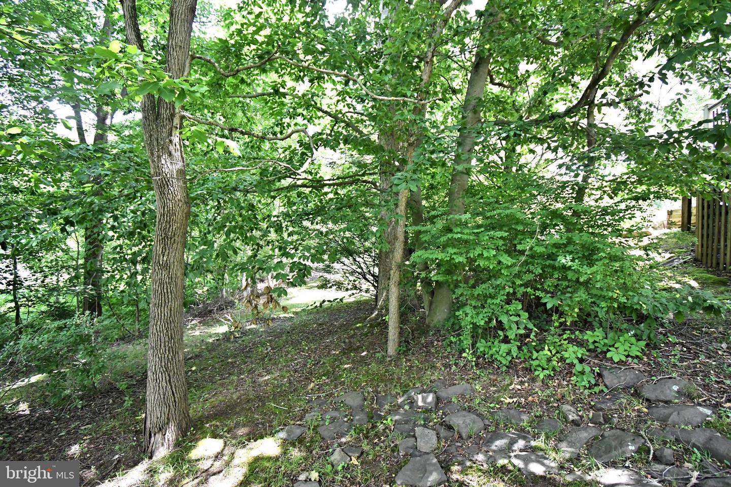 22 Wychwood Ln Property Photo 34