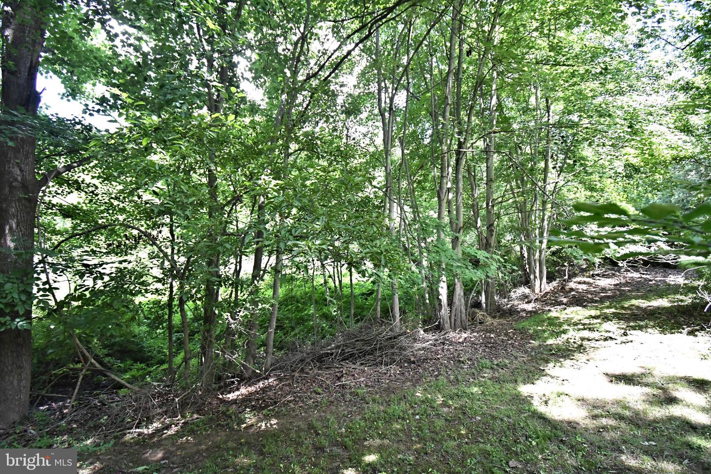 22 Wychwood Ln Property Photo 35