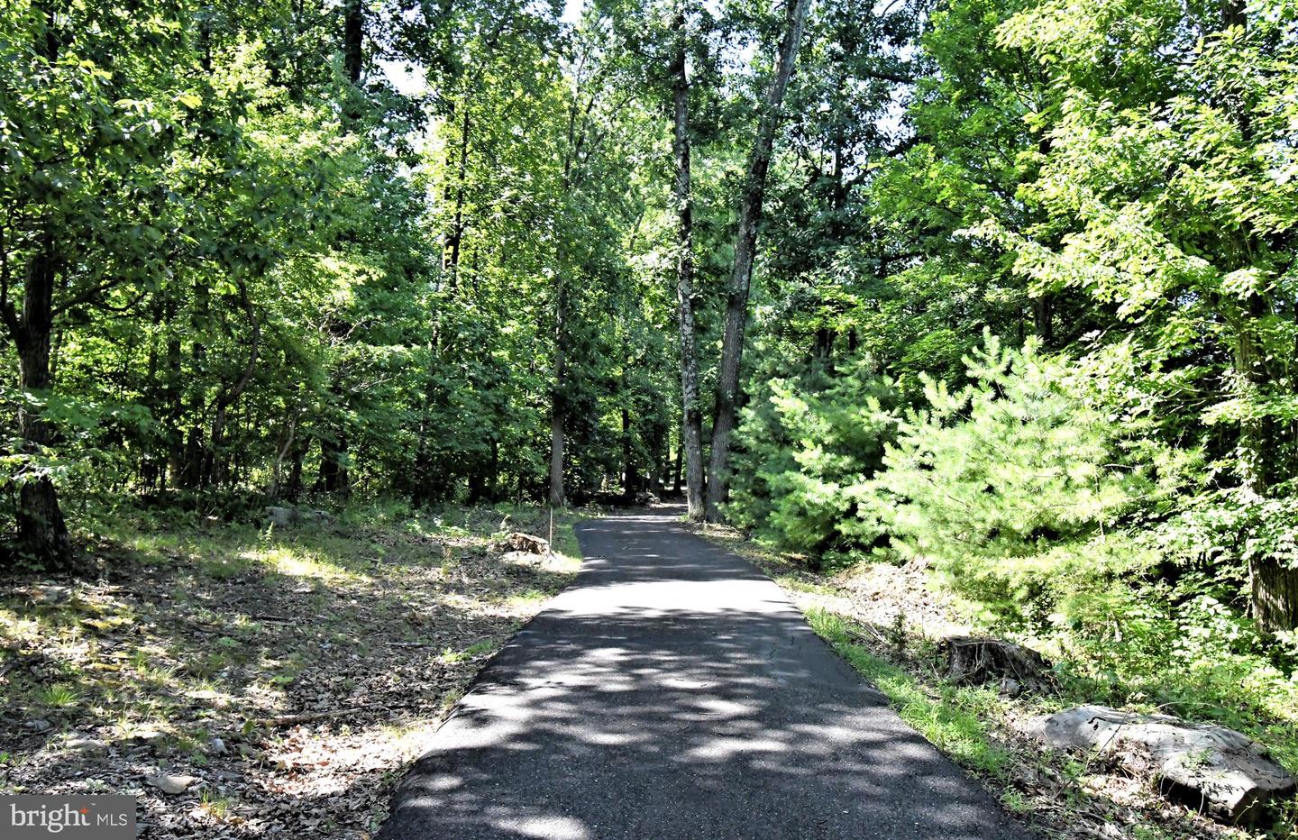 2125 Upper Ridge Rd Property Photo 4