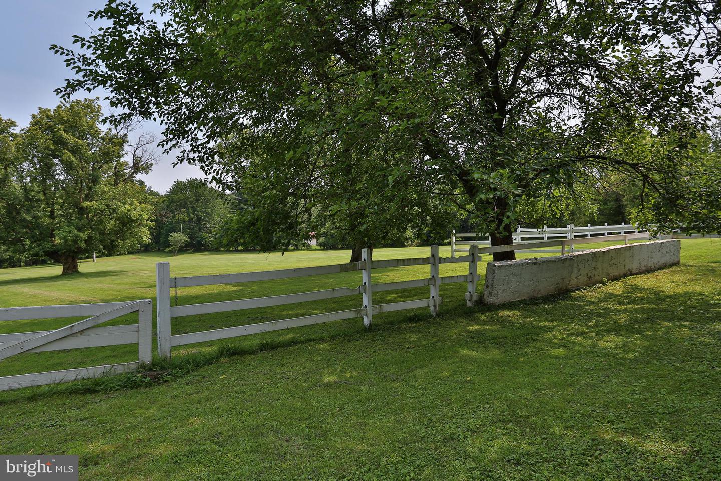 5792 Carversville Rd Property Photo 83