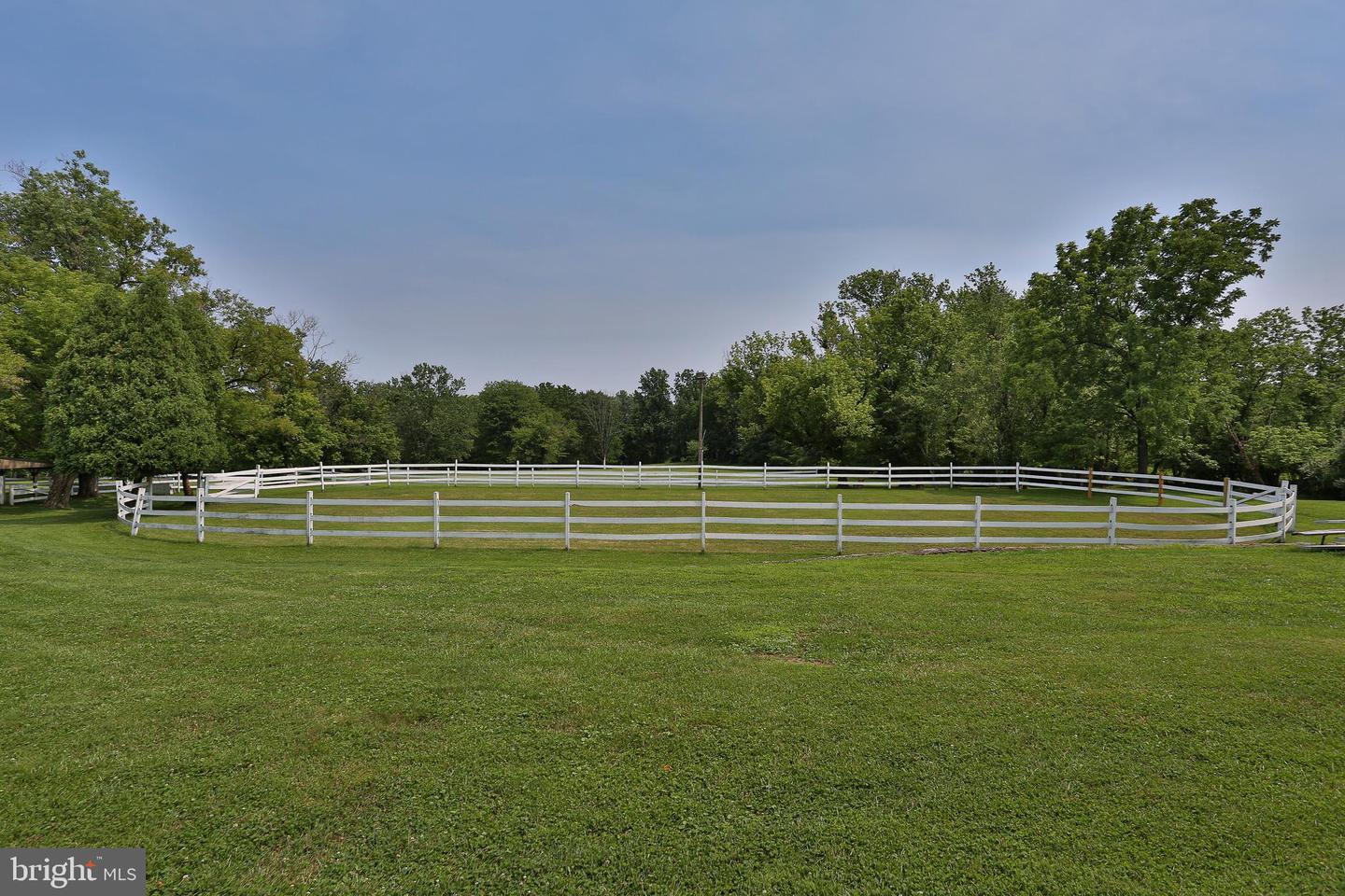 5792 Carversville Rd Property Photo 86