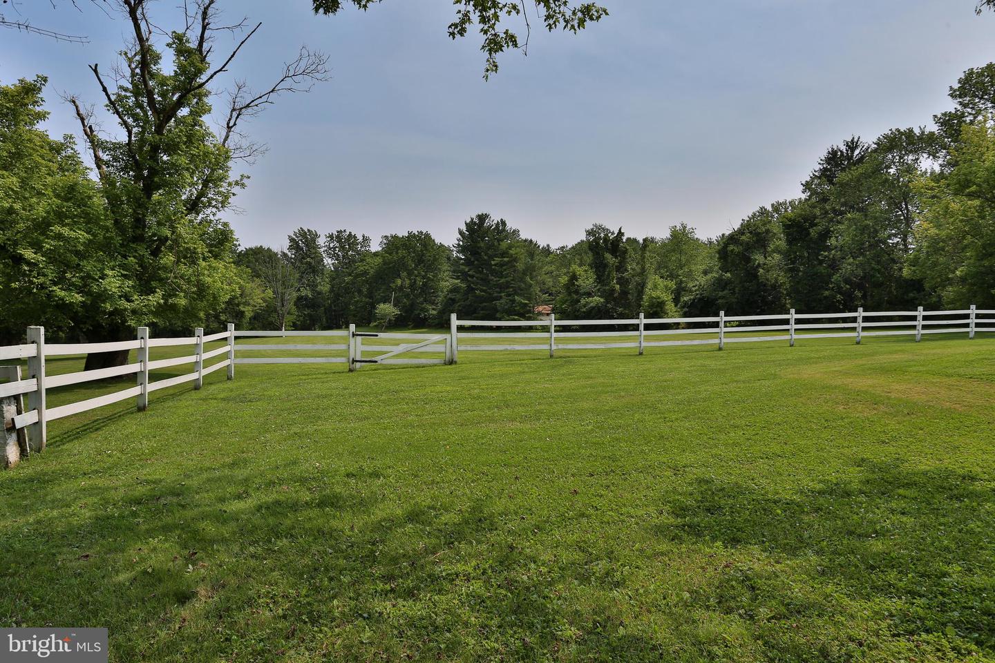 5792 Carversville Rd Property Photo 88