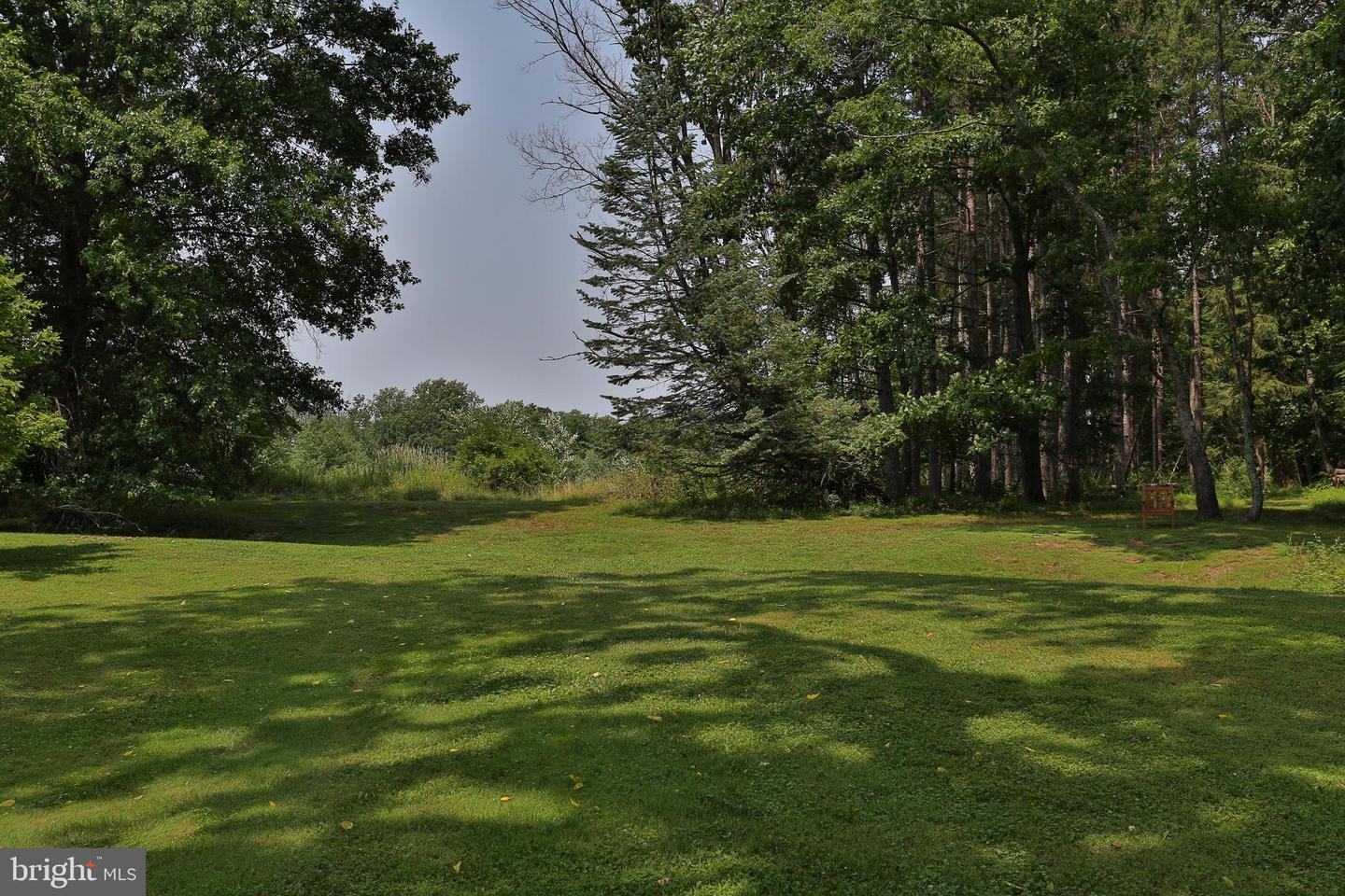 5792 Carversville Rd Property Photo 94