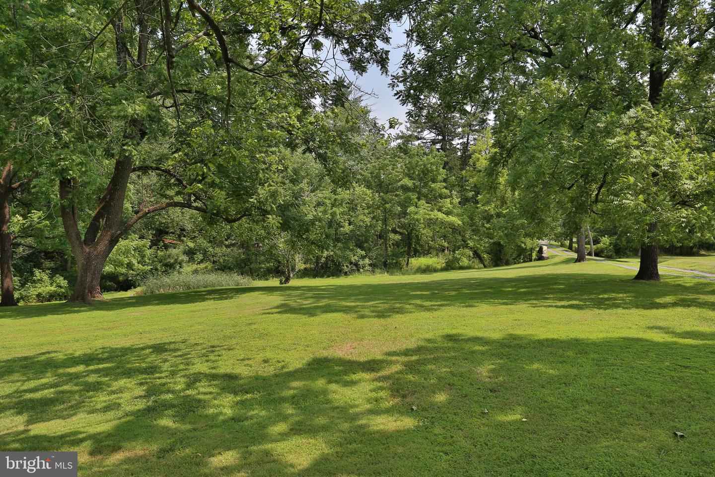 5792 Carversville Rd Property Photo 97