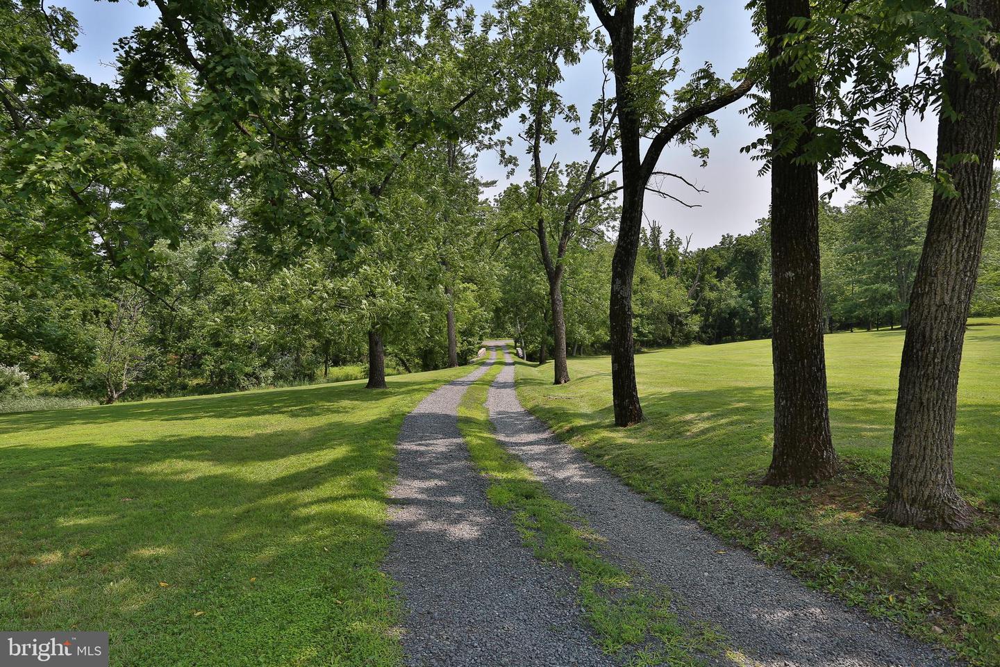 5792 Carversville Rd Property Photo 98