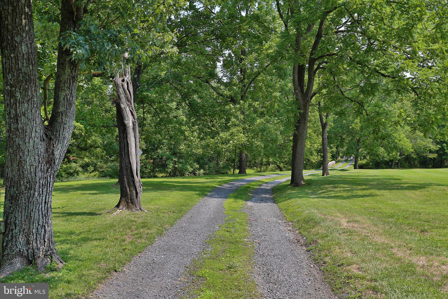 5792 Carversville Rd Property Photo 99