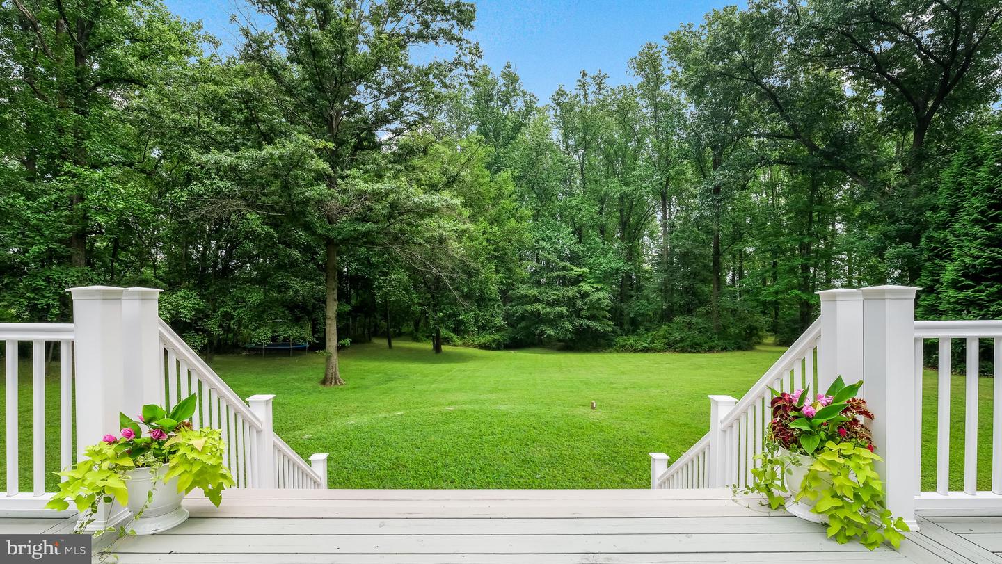 4841 Lower Mountain Road Property Photo 11