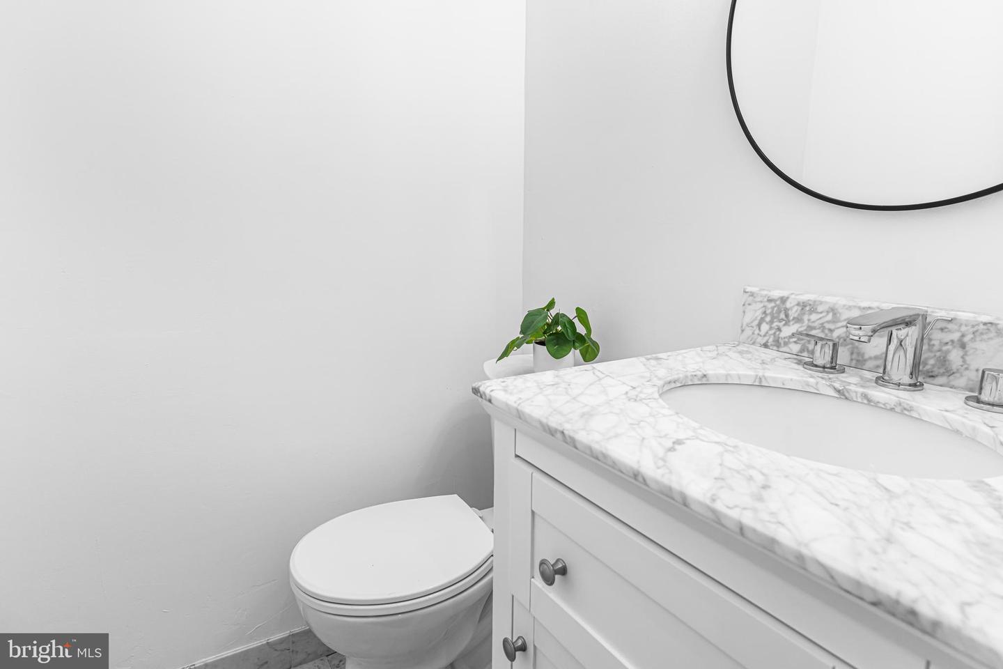 14 Brighton Pl Property Photo 8