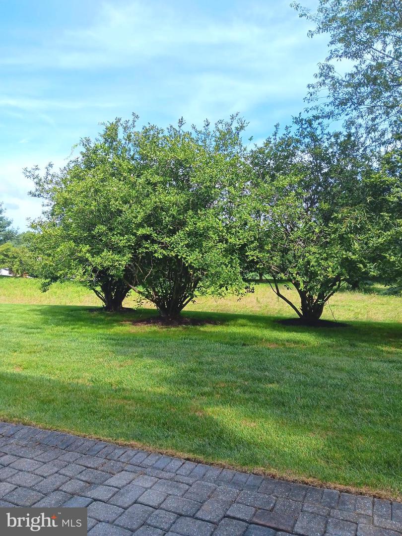 27 Kanon Ct Property Photo 19