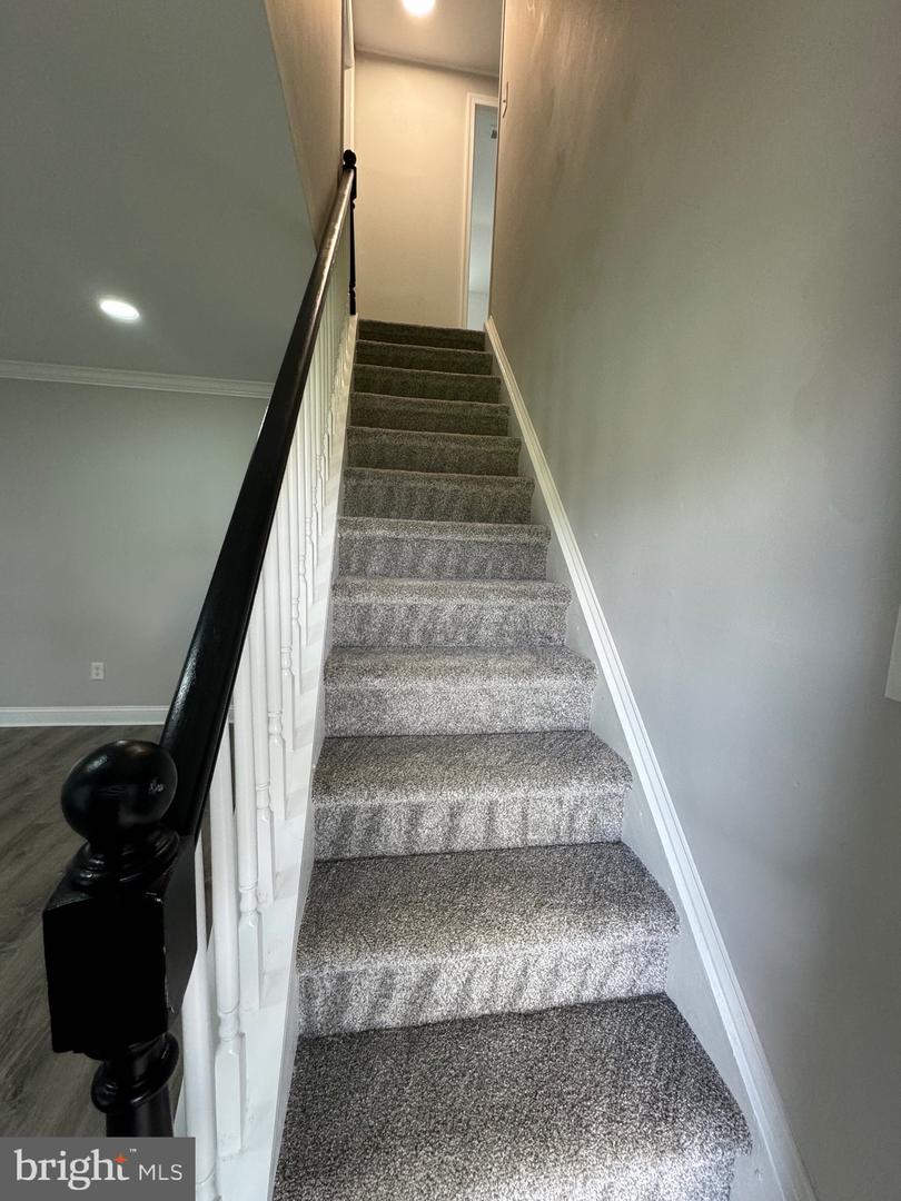 40 Tinsel Rd Property Photo 21
