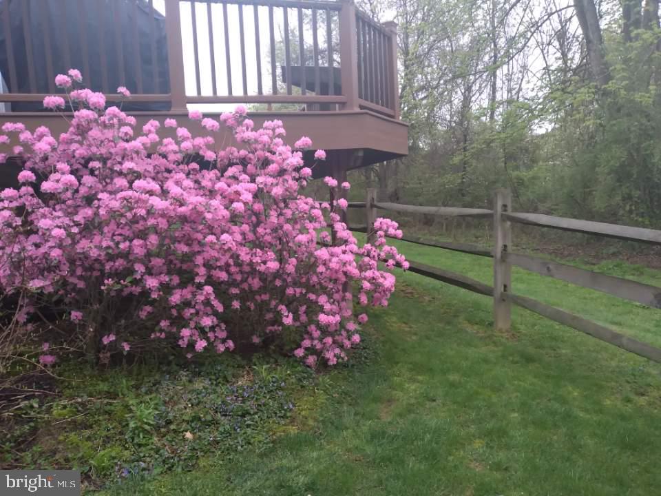 15 Avalon Ct Property Photo 33