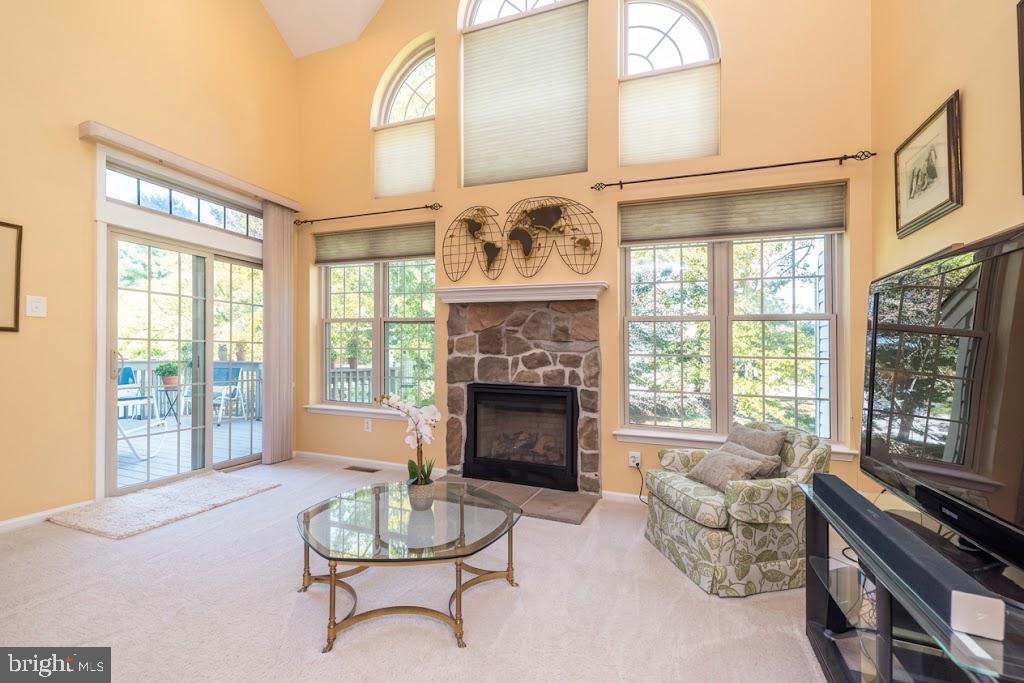 3875 Nanlyn Farm Cir Property Photo 12