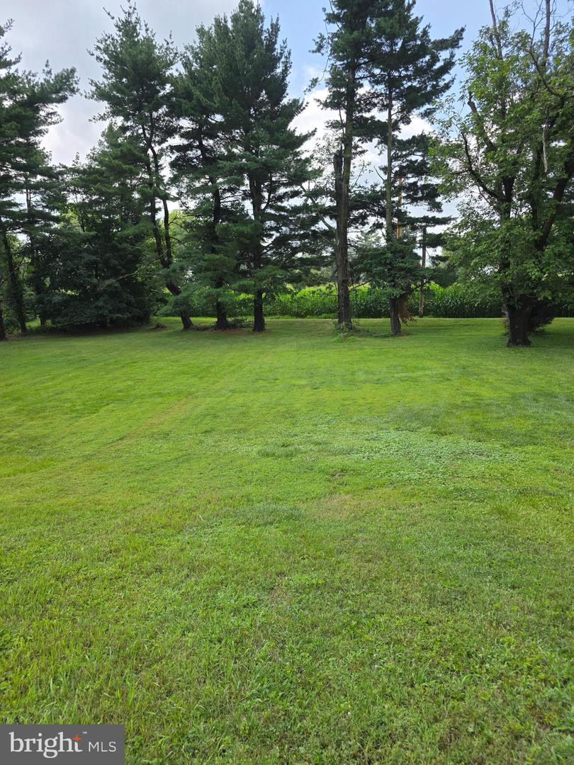 36 S Traymore Ave Property Photo 39
