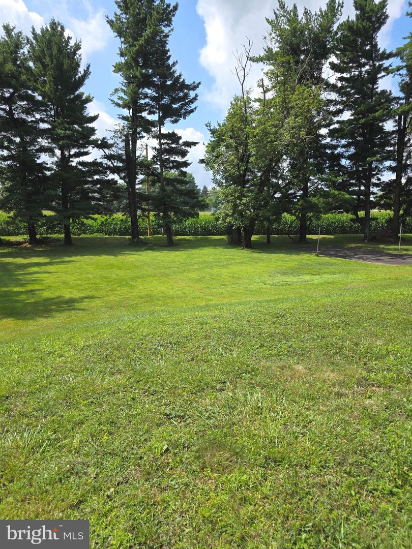 36 S Traymore Ave Property Photo 41