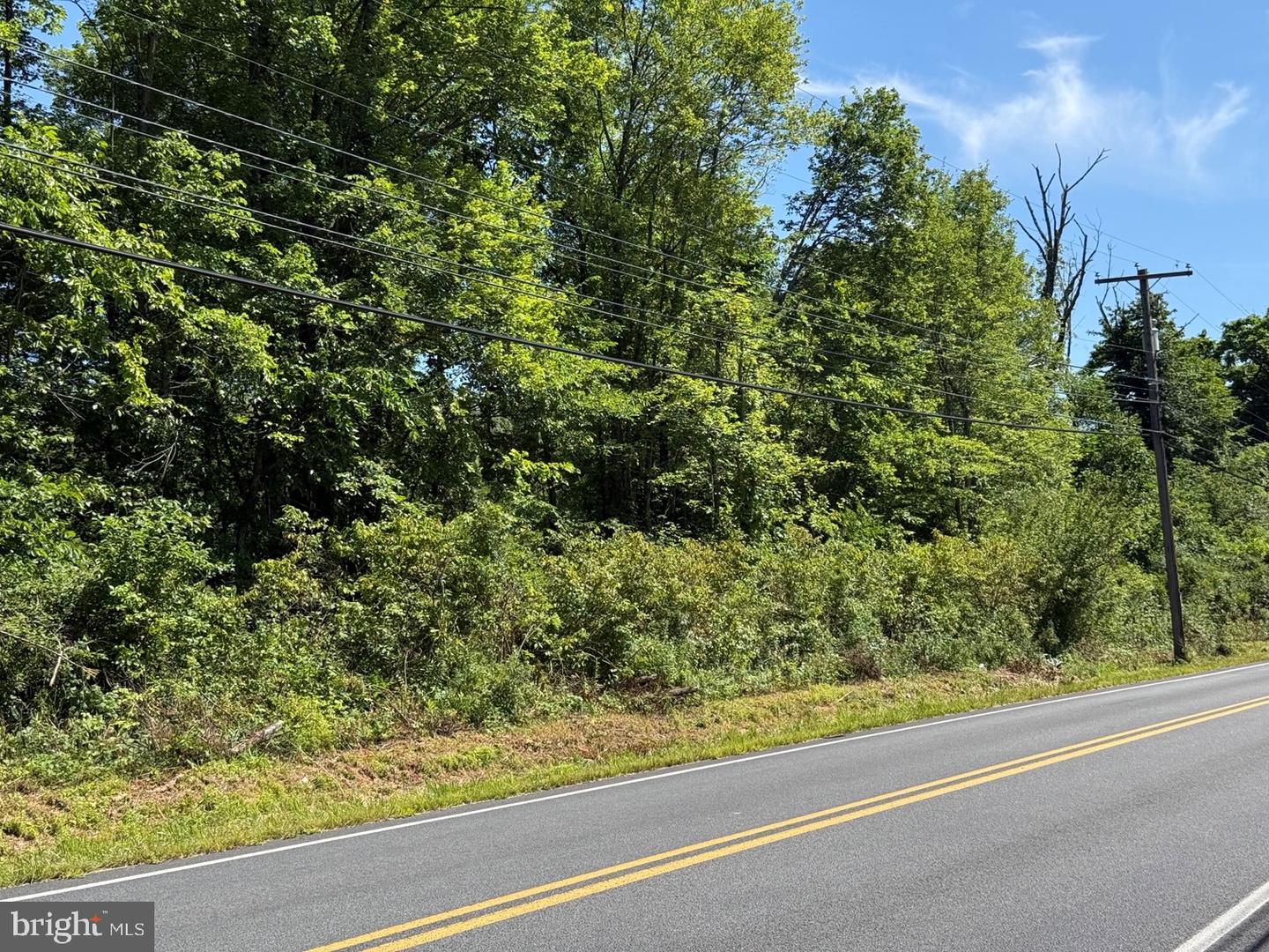 0 S Old Bethlehem Pike Property Photo 1