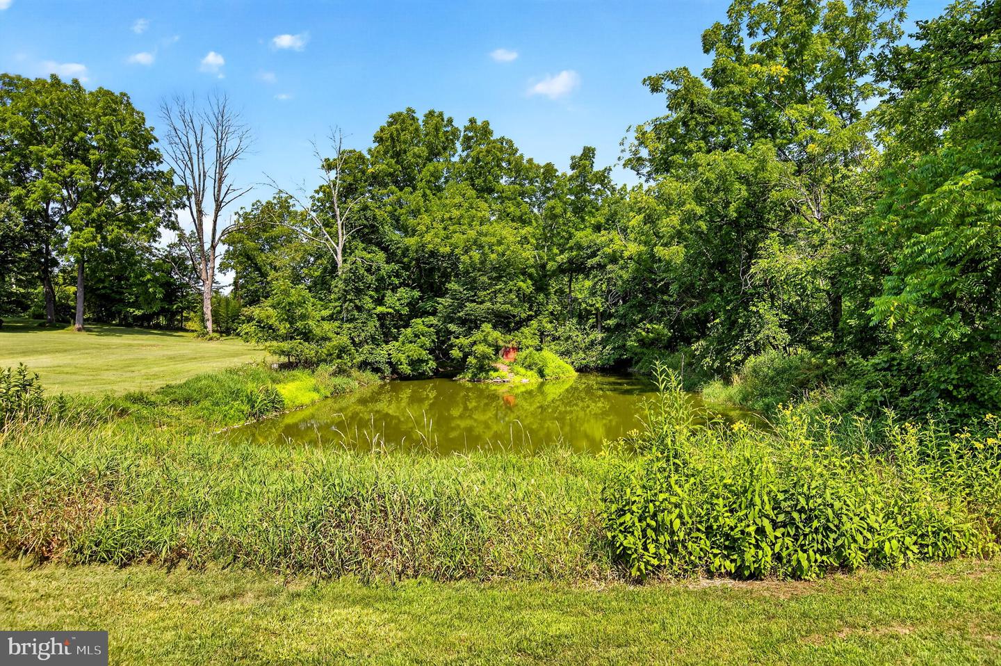 5842 Township Line Rd Property Photo 15