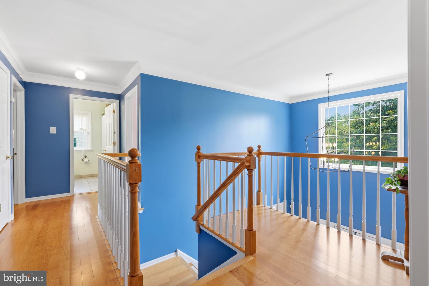 1620 Clydesdale Cir Property Photo 36