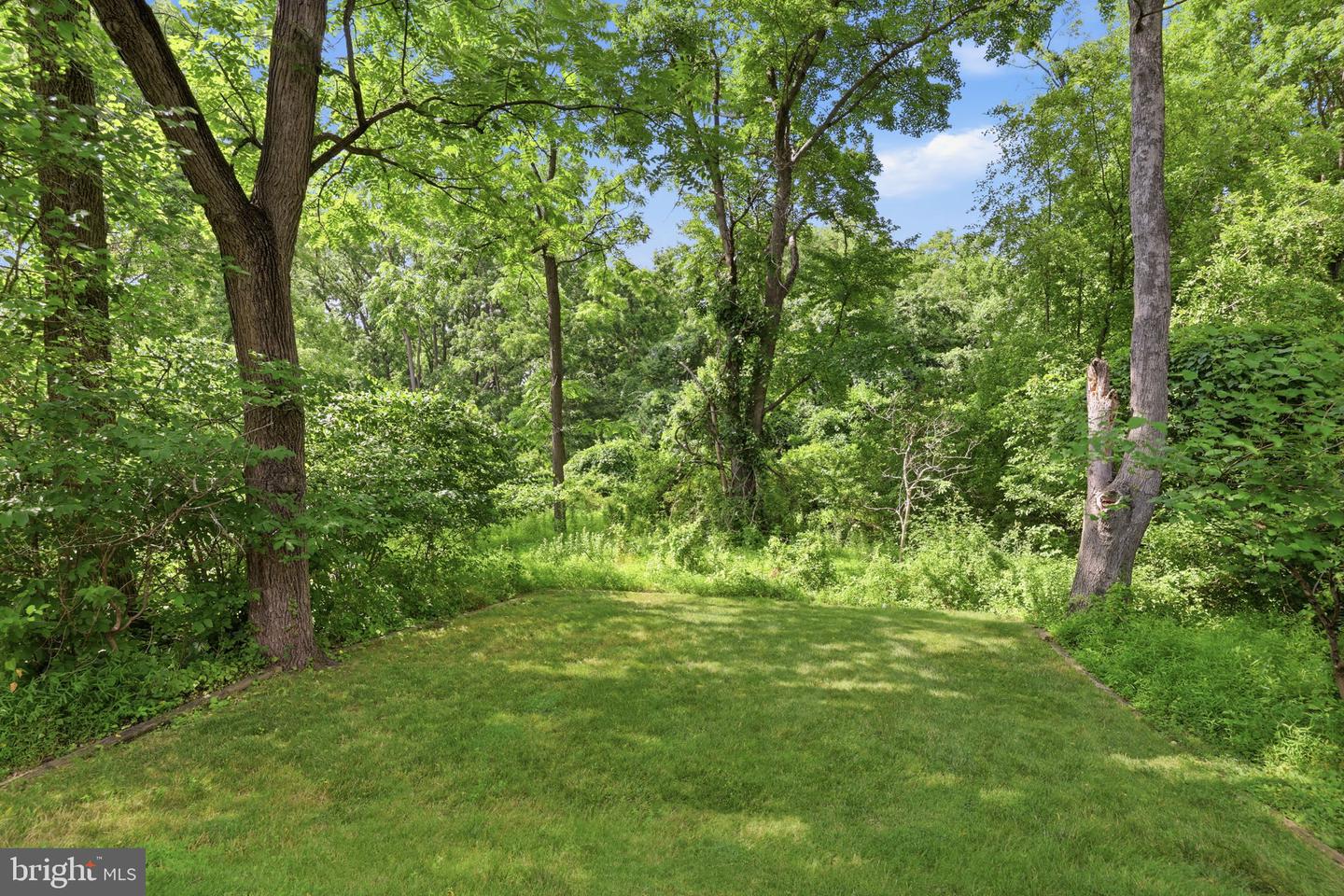 1620 Clydesdale Cir Property Photo 46
