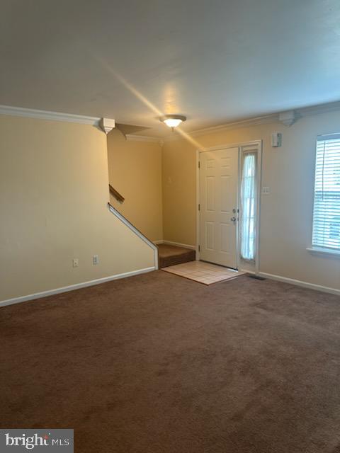 3646 Nancy Ward Cir Property Photo 5