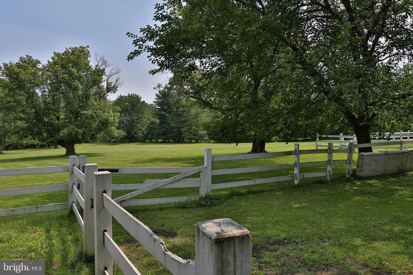 5792 Carversville Rd Property Photo 93