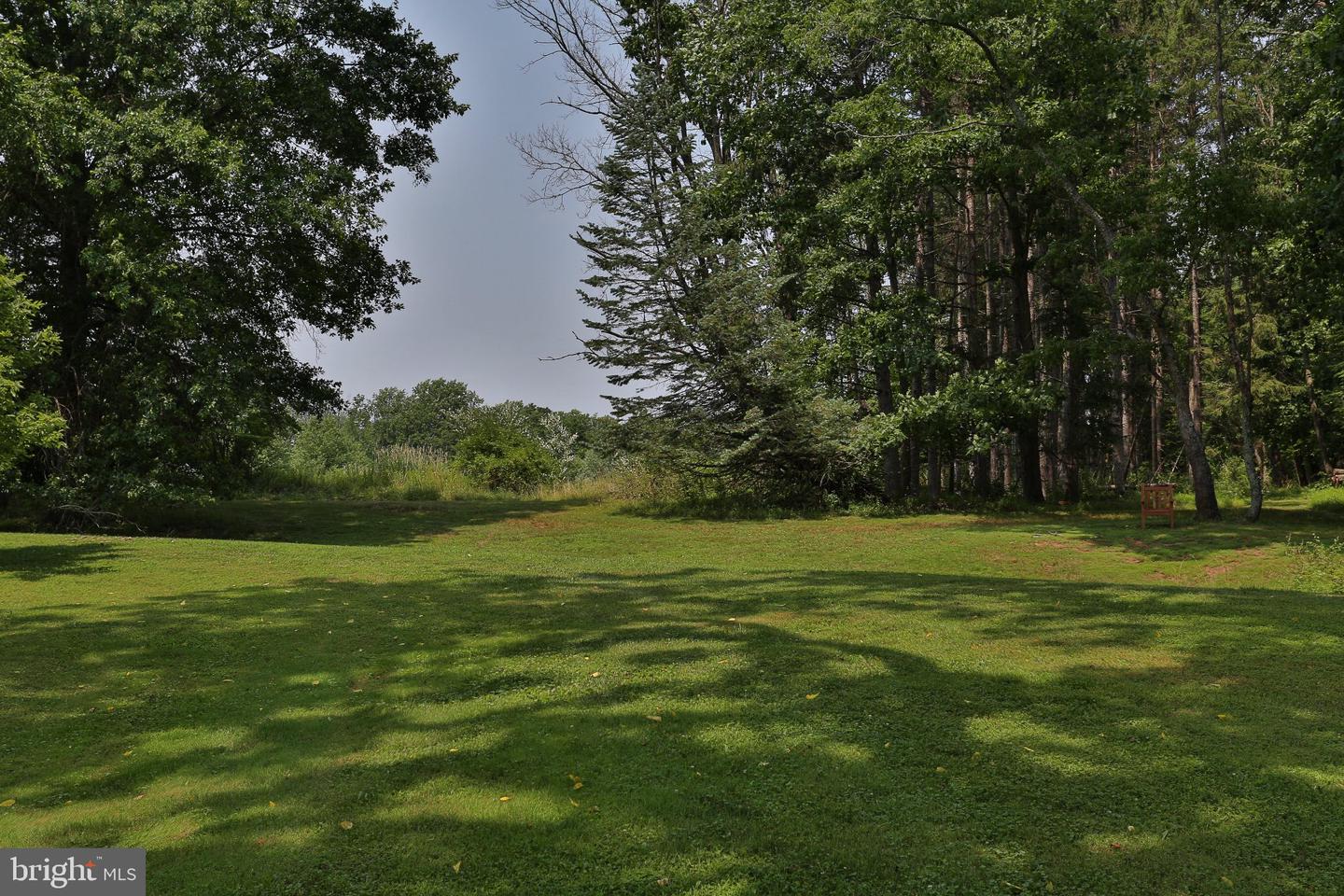 5792 Carversville Rd Property Photo 102