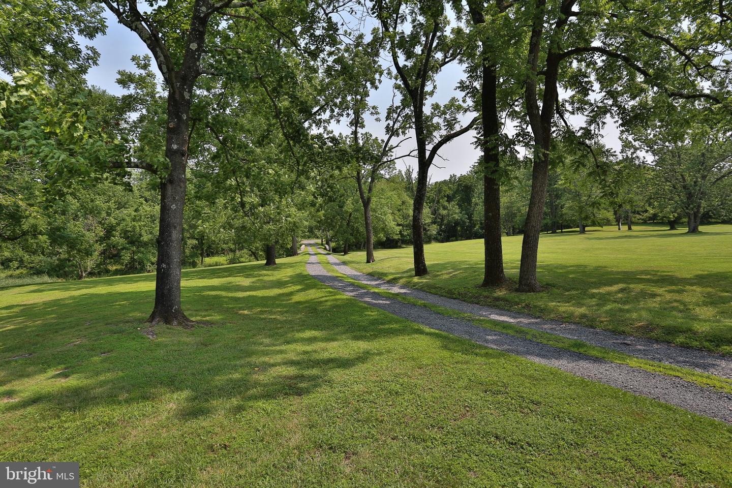 5792 Carversville Rd Property Photo 106