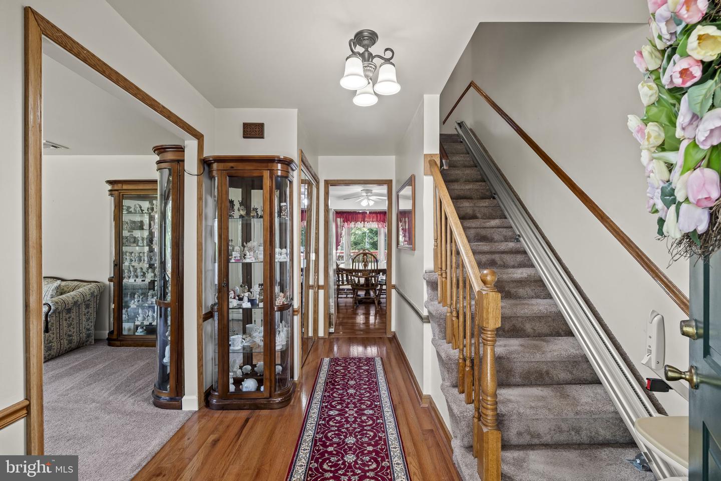 97 Lower Holland Rd Property Photo 5