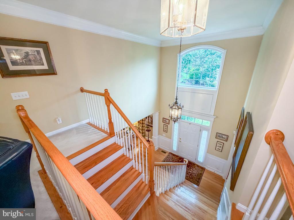 3 Bartons Mill Dr Property Photo 39