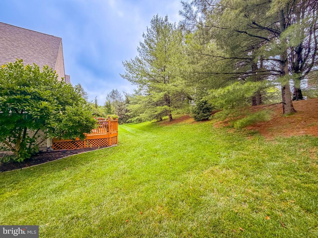 3 Bartons Mill Dr Property Photo 58