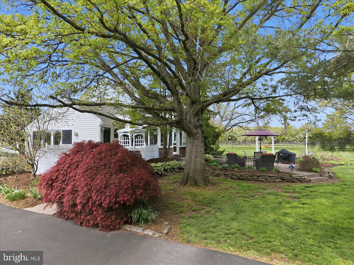6423 Blueberry Ln Property Photo 81